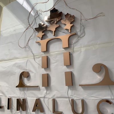 OEM مضيئة مضاءة رسالة رسالة القناة الخلفية البولندية مرآة