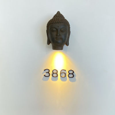 مضيئة الفولاذ المقاوم للصدأ 304 المعادن لافتات العنوان المسمار جبل