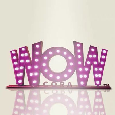 بقيادة لمبة 3ft 4ft سرادق رسالة تسجيل زفاف رسائل الحب